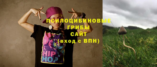 прущие крисы Михайловск