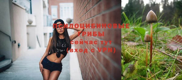 прущий лед Михайлов