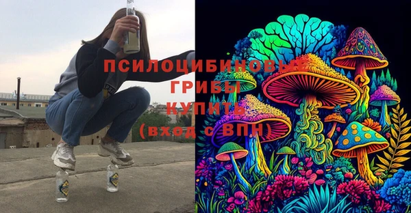 прущий лед Михайлов