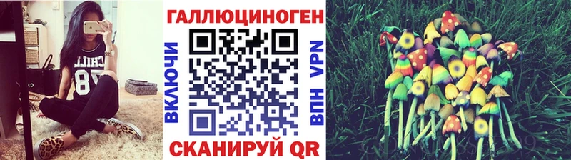 хочу Спасск-Рязанский Псилоцибиновые грибы Magic Shrooms